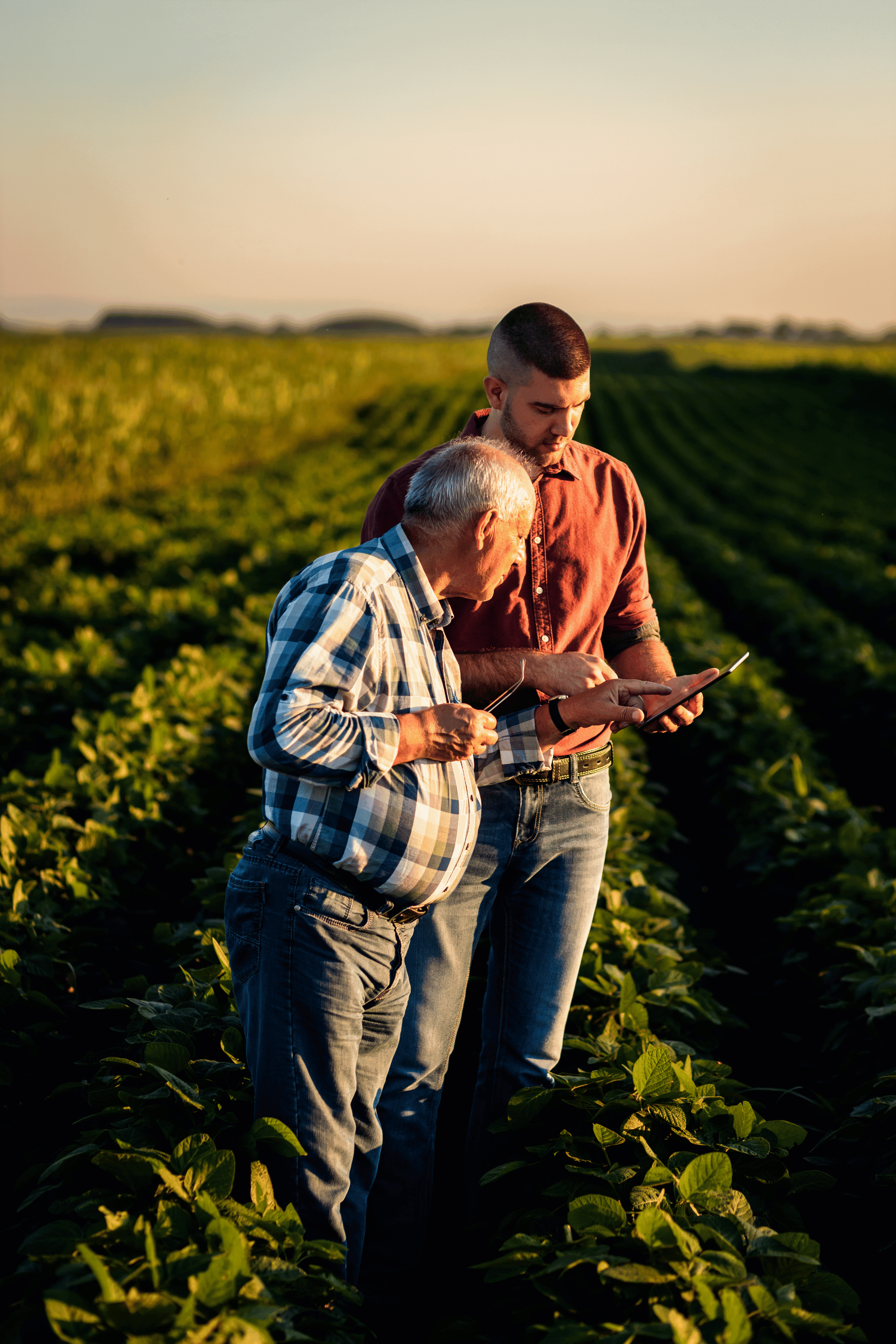 Cetro BIO — produção biológica no campo